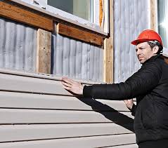 Best Custom Trim and Detailing for Siding  in Dravosburg, PA